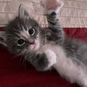 Meet your Posher, Mary